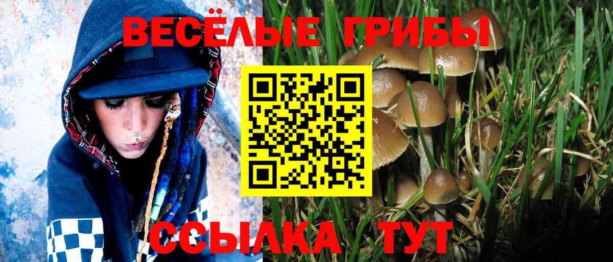 Псилоцибиновые грибы ЛСД Салехард
