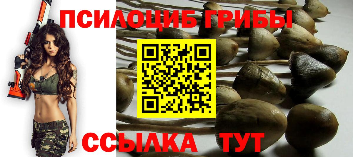 Салехард  Галлюциногенные грибы прущие грибы  Вход с VPN 